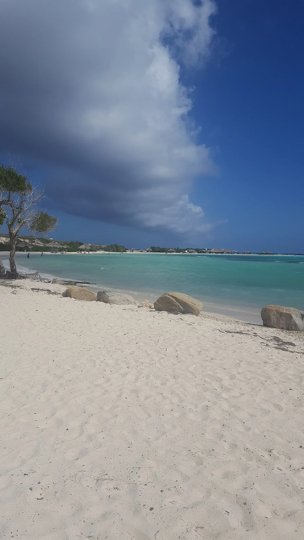 Rodgers Beach, San Nicolas, Lesser Antilles, Aruba — 2