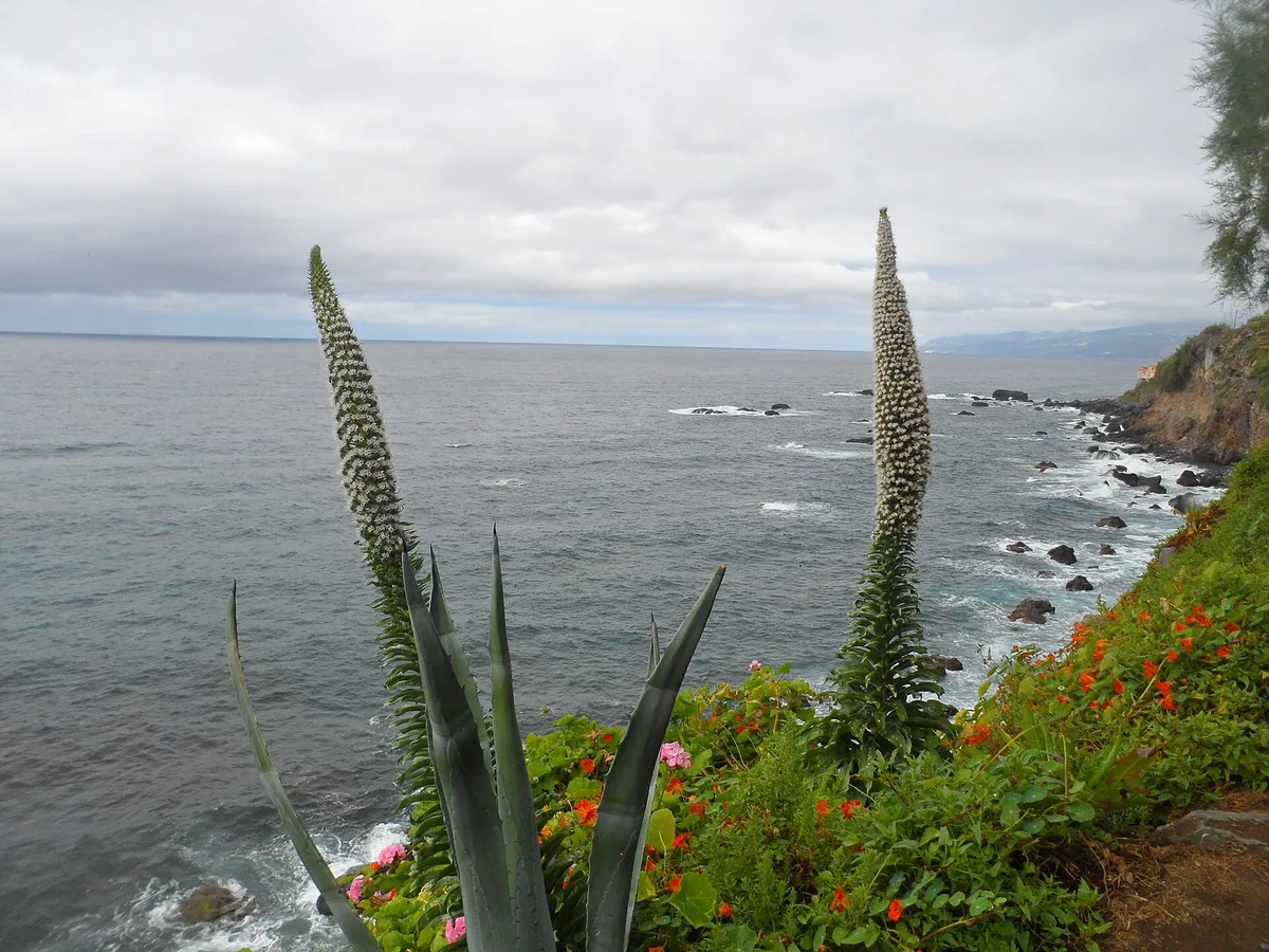 Las Aguas Beach, San Juan de la Rambla, Canary Islands, Spain — 3