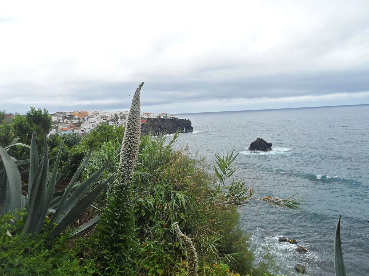 Las Aguas Beach, San Juan de la Rambla, Canary Islands, Spain — 4