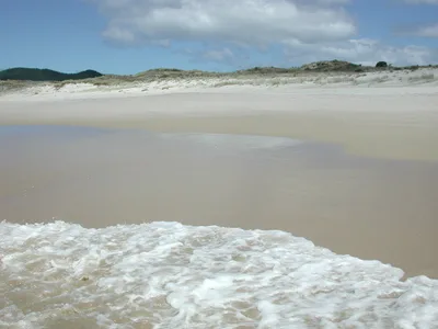 Otama Beach, Otama, Waikato, Nuova Zelanda — 3