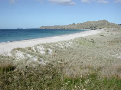 Otama Beach, Otama, Waikato, Nuova Zelanda — 2
