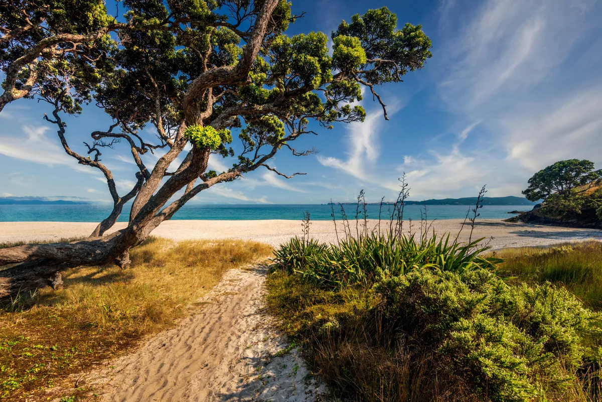 Otama Beach, Otama, Waikato, Nuova Zelanda