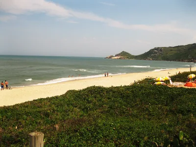 Mole Beach