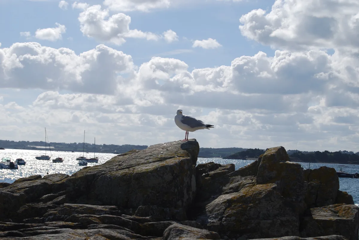 Playa de Pors Hir, Pleumeur-Bodou, Brittany, Francia — 4