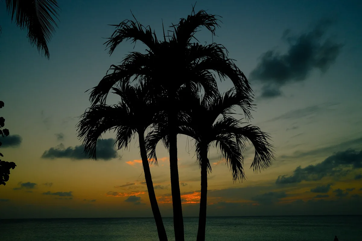 Tiki Beach, West Bay, Cayman Islands, Cayman Islands — 2