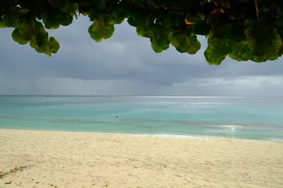 Tiki Beach