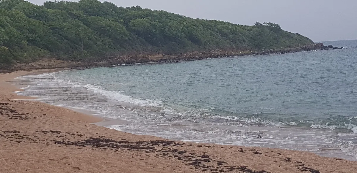 Manbia Beach, Sainte-Rose, Guadeloupe, France