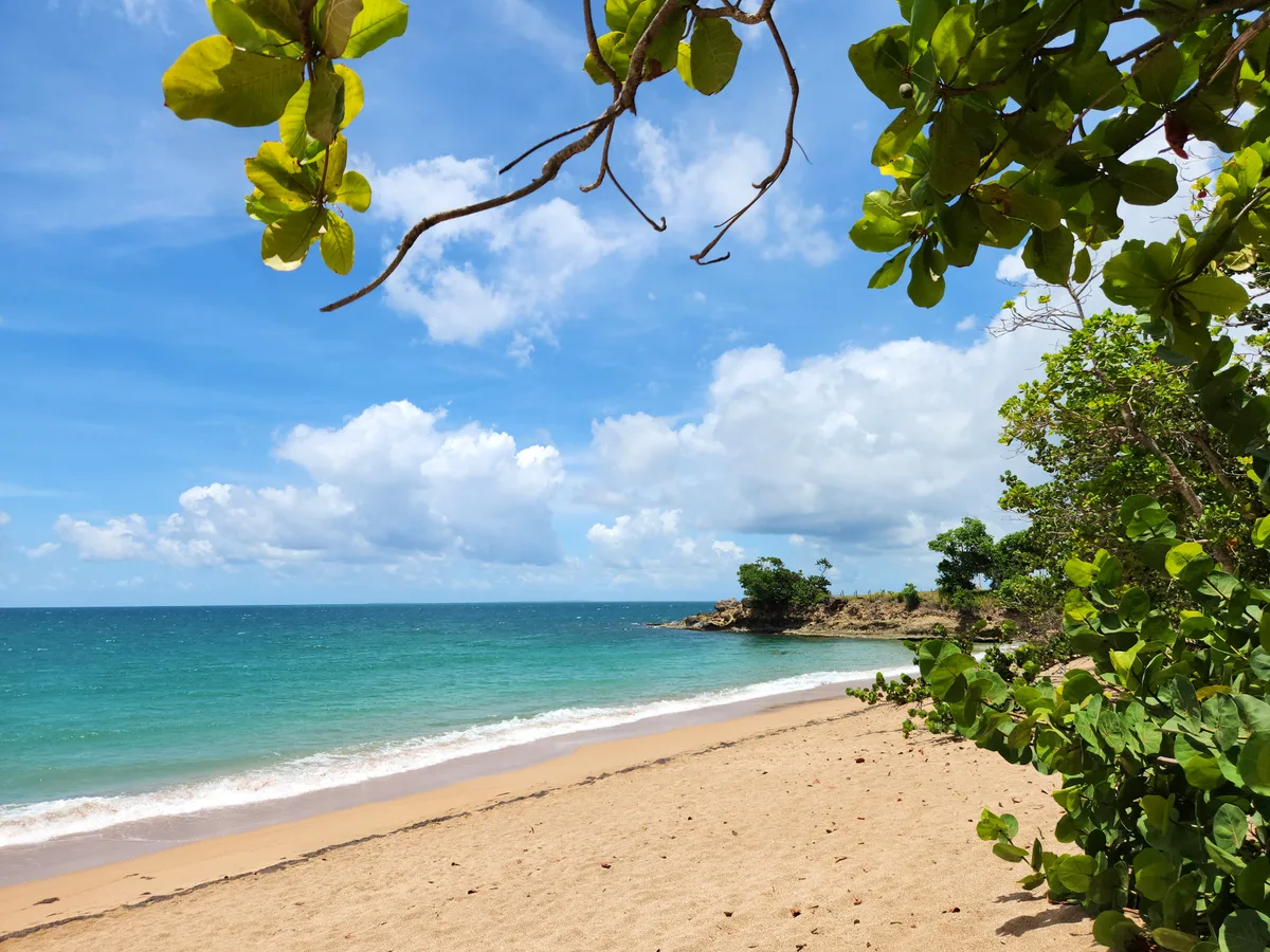 Manbia Beach, Sainte-Rose, Guadeloupe, France — 2