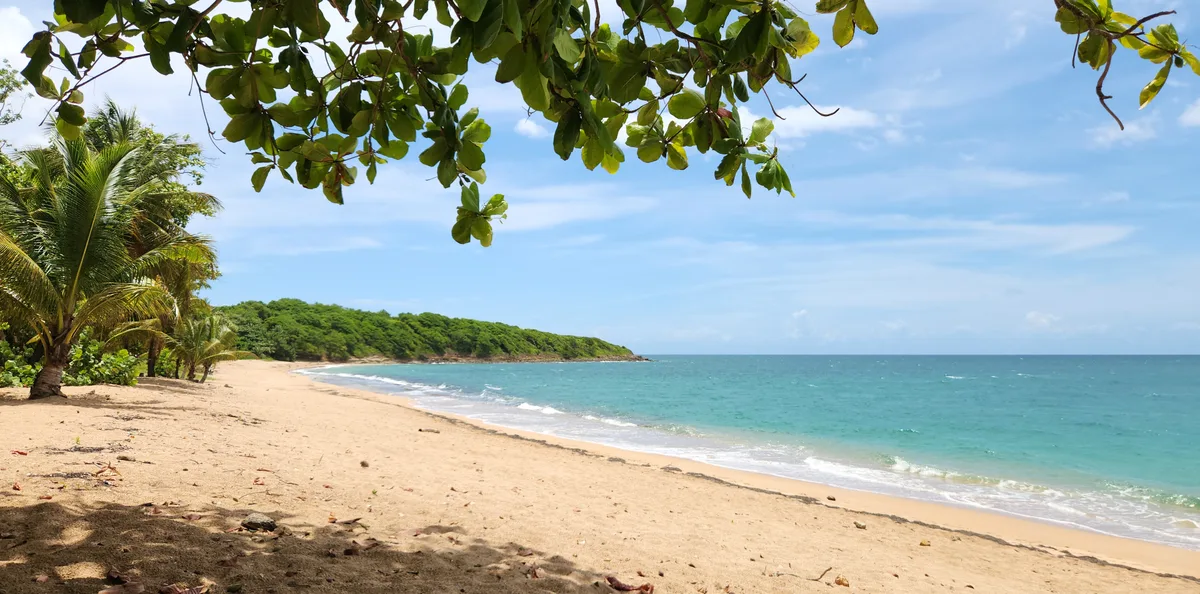 Manbia Beach, Sainte-Rose, Guadeloupe, France — 3