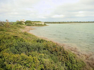 Torre Colimena Beach