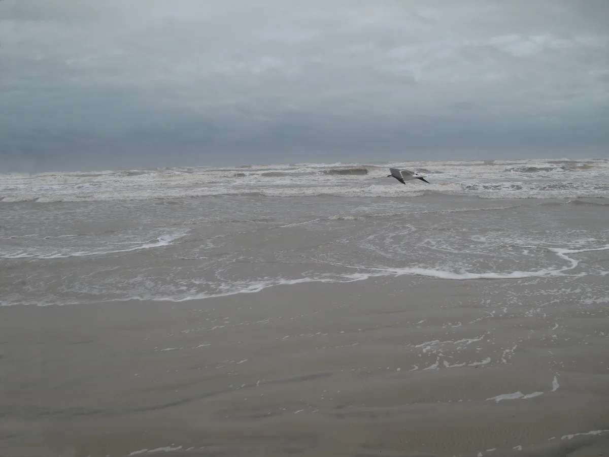Padre Balli County Park Beach, Corpus Christi, US Gulf Coast, United States — 2