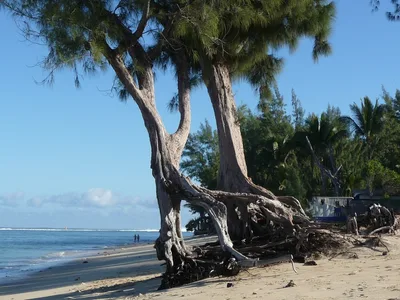 Spiaggia dell'Hermitage, Saint-Paul, Réunion, Francia — 2