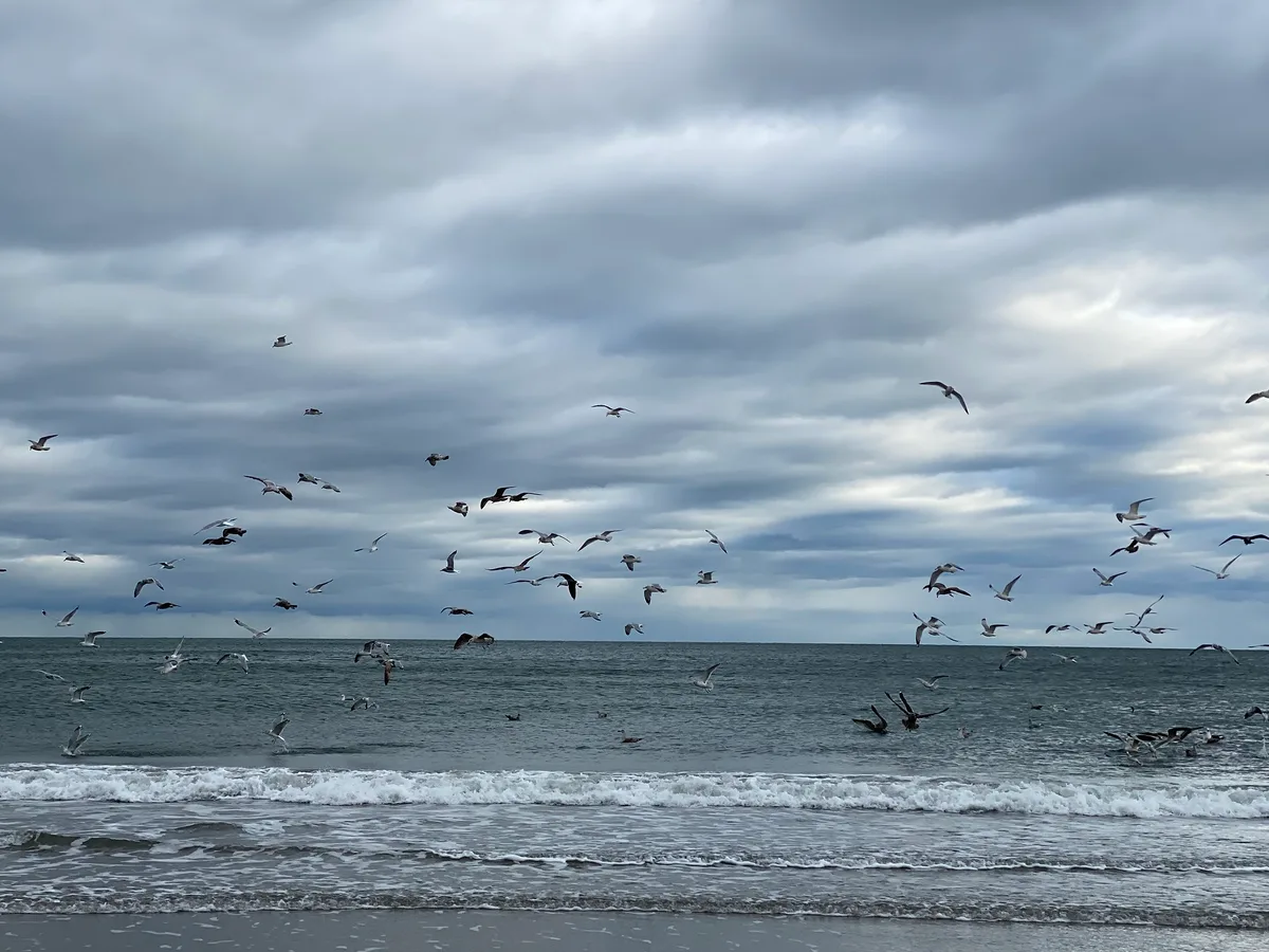 Narragansett Town Beach, Narragansett, US Northeast Coast, United States — 3