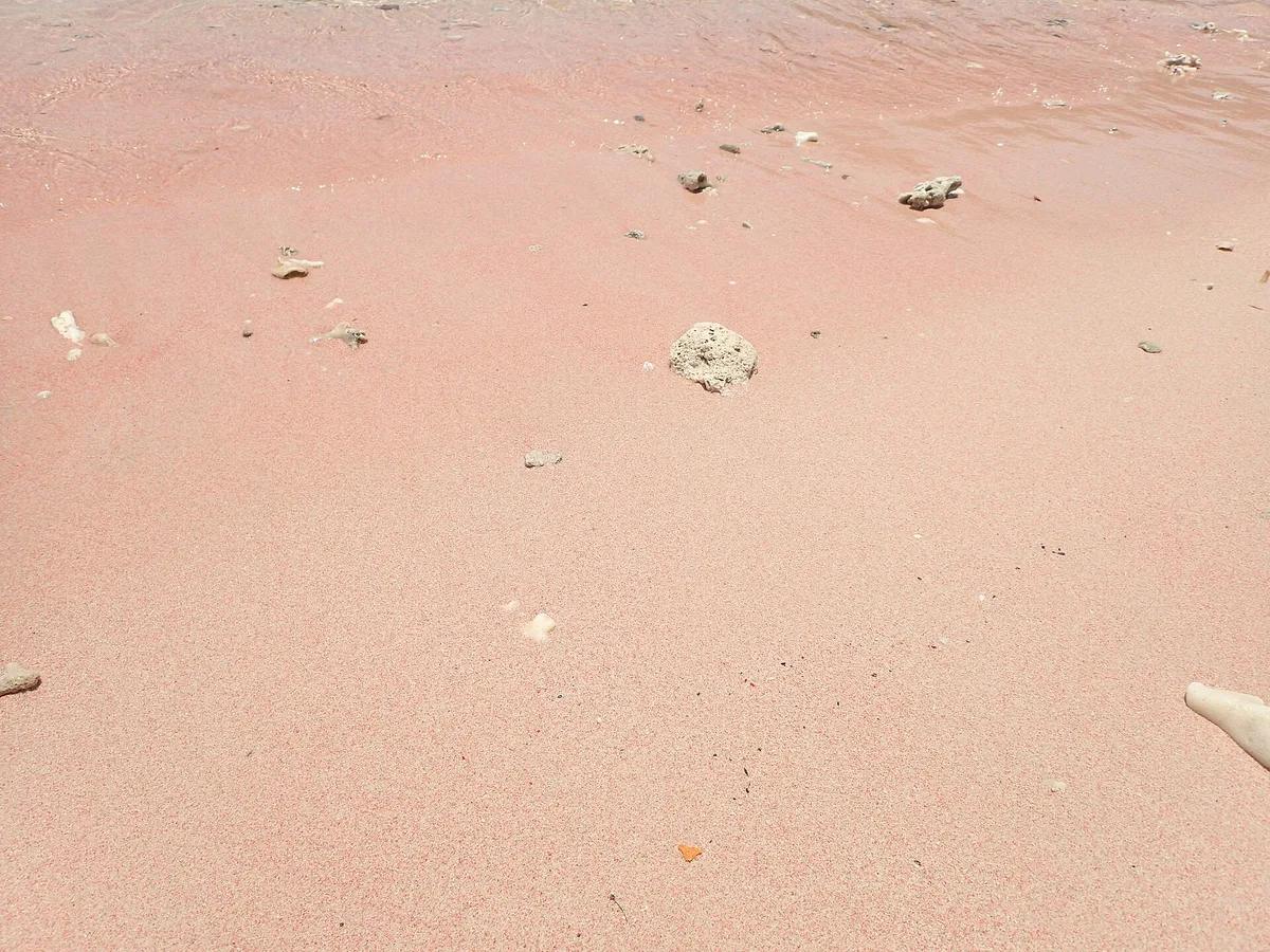 Merah Beach, Komodo, Lesser Sunda Islands, Indonesia — 2