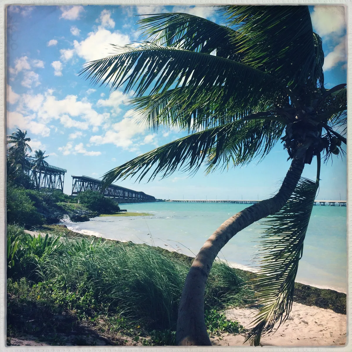 Plage de Calusa, Big Pine Key, Florida Keys, États-Unis — 4