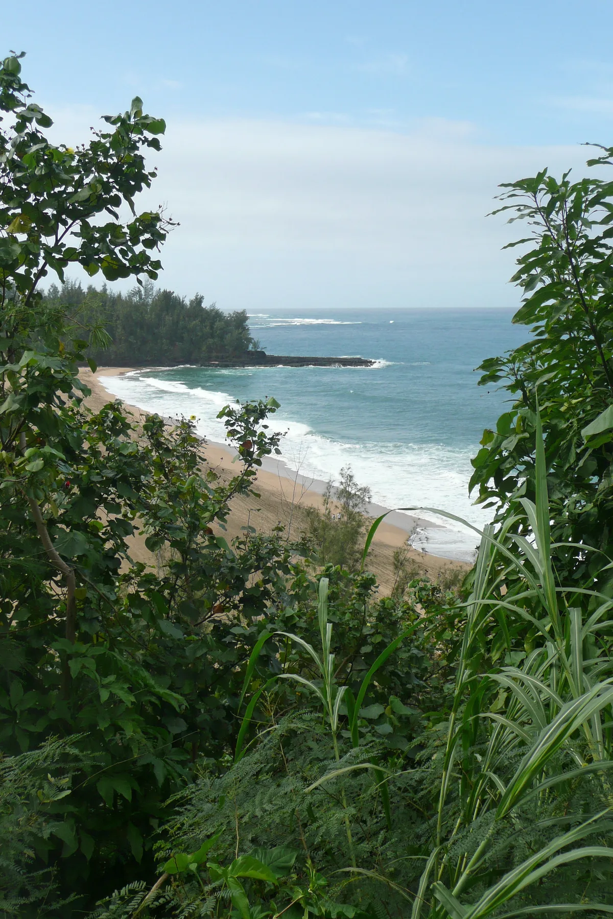 Playa de Lumaha'i, Hanalei, Hawaii, Estados Unidos