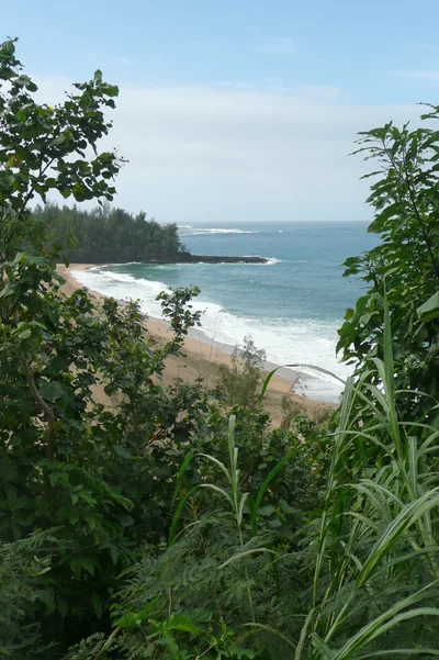 Lumaha'i Beach