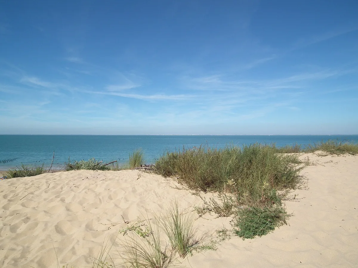 Plage de la Gautrelle, La Nouette, Nouvelle-Aquitaine, France — 2