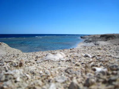 Marsa Alam City Beach, Marsa Alam, Red Sea, Egypt — 5