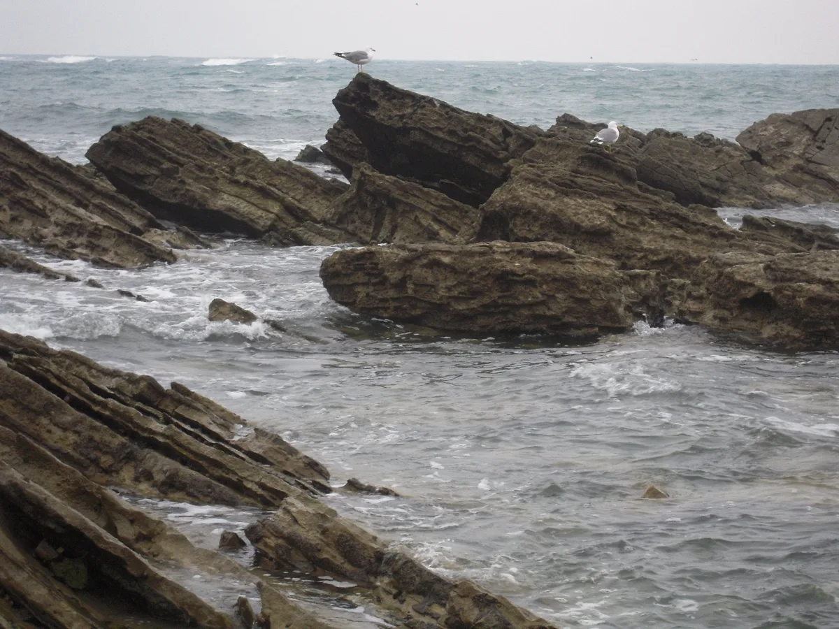 Plage des Alcyons, Guéthary, Nouvelle-Aquitaine, France — 3