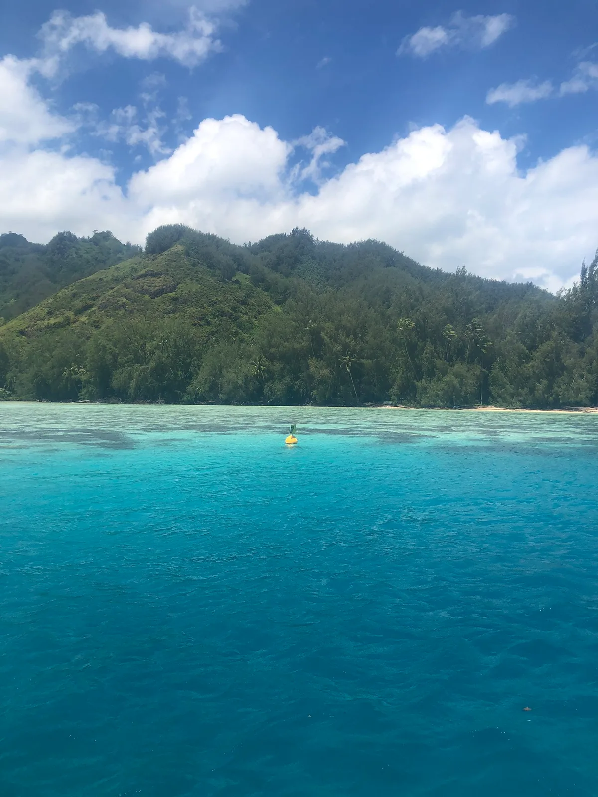 Tiahura Beach, Moorea-Maiao, Windward Islands, French Polynesia — 6