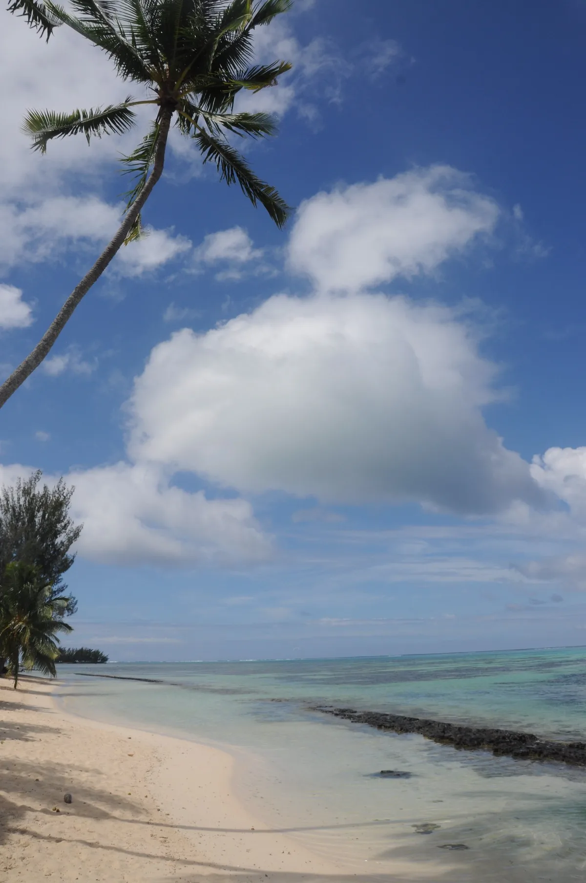 Tiahura Beach, Moorea-Maiao, Windward Islands, French Polynesia — 3