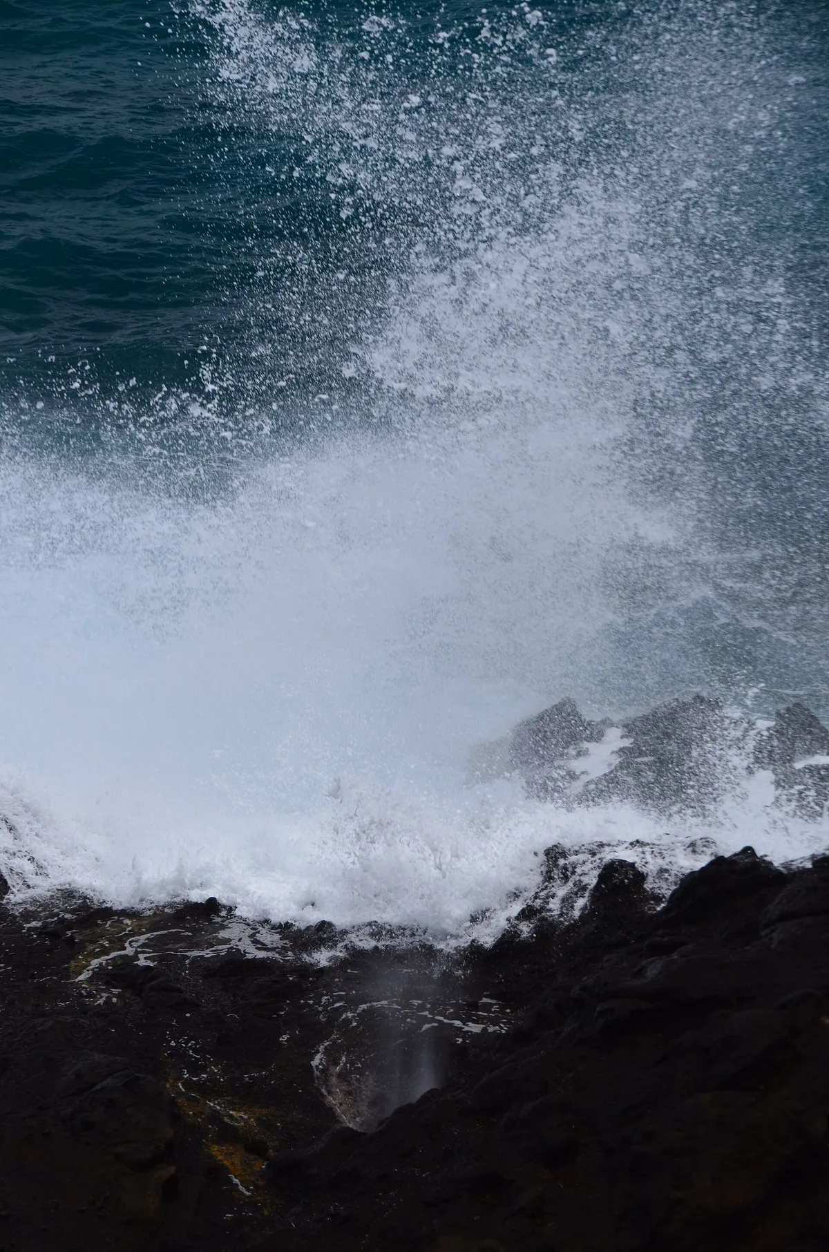 Sandy Beach Park, Honolulu, Hawaii, Estados Unidos — 5