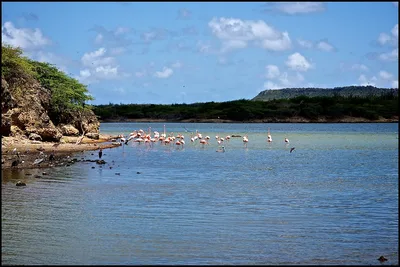 Spiaggia di Boca Slagbaai, Rincon, Dutch Caribbean, Caribbean Netherlands — 6