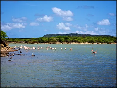 Spiaggia di Boca Slagbaai, Rincon, Dutch Caribbean, Caribbean Netherlands — 2