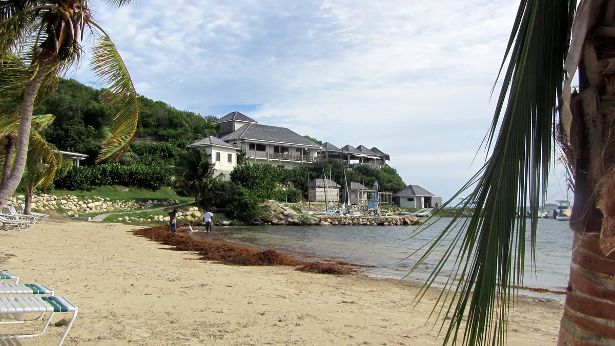 Spiaggia di Nonsuch Bay, Saint Philip, Lesser Antilles, Antigua and Barbuda — 3