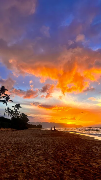 Laniakea Beach, Haleiwa, Hawaii, United States — 3