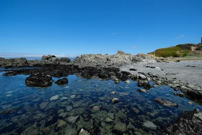 Playa de MacKerricher State Park