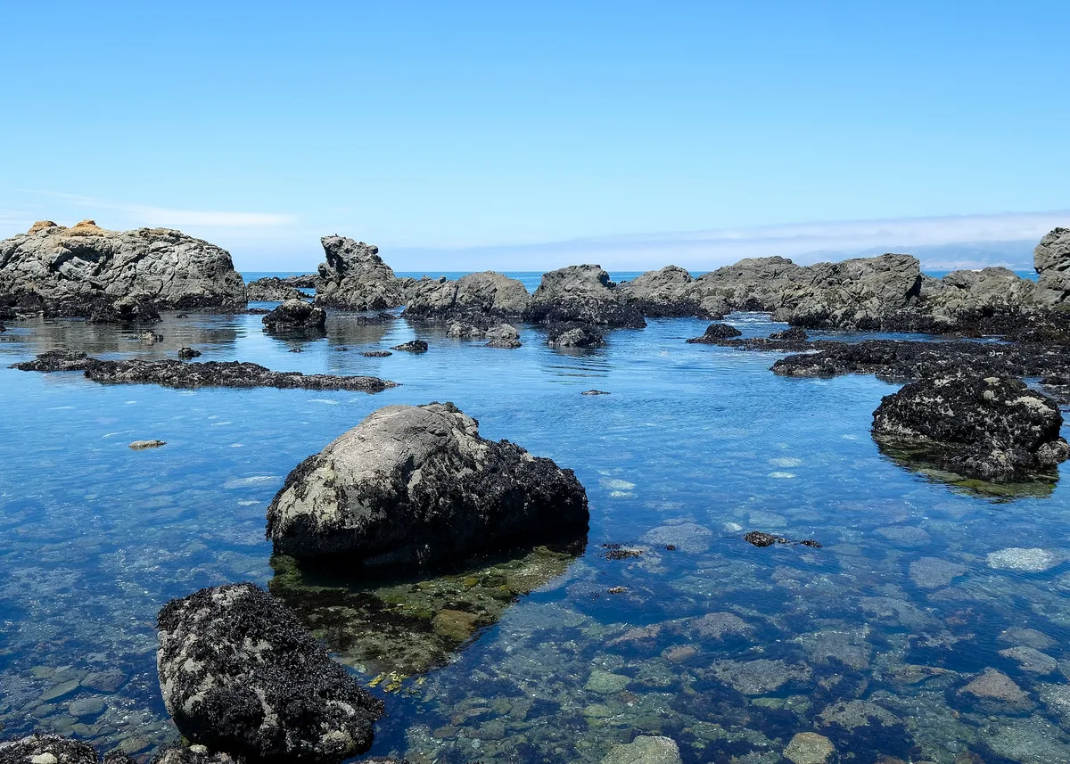 MacKerricher State Park Beach, Fort Bragg, California Coast, United States — 2