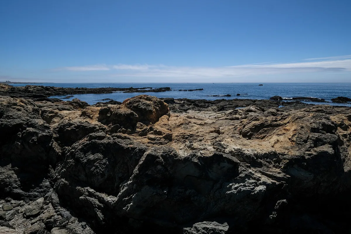 MacKerricher State Park Beach, Fort Bragg, California Coast, United States — 3