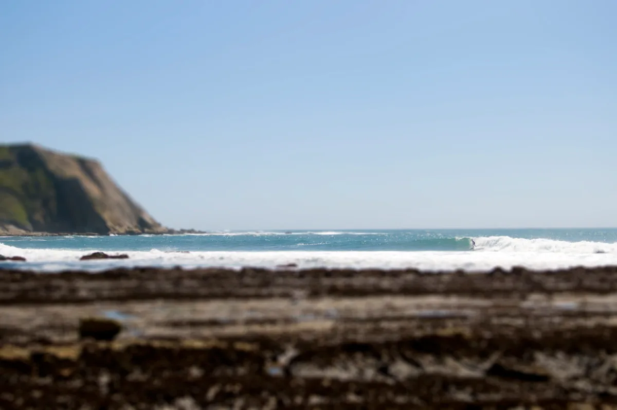 Arena Cove Beach, Point Arena, California Coast, United States — 3