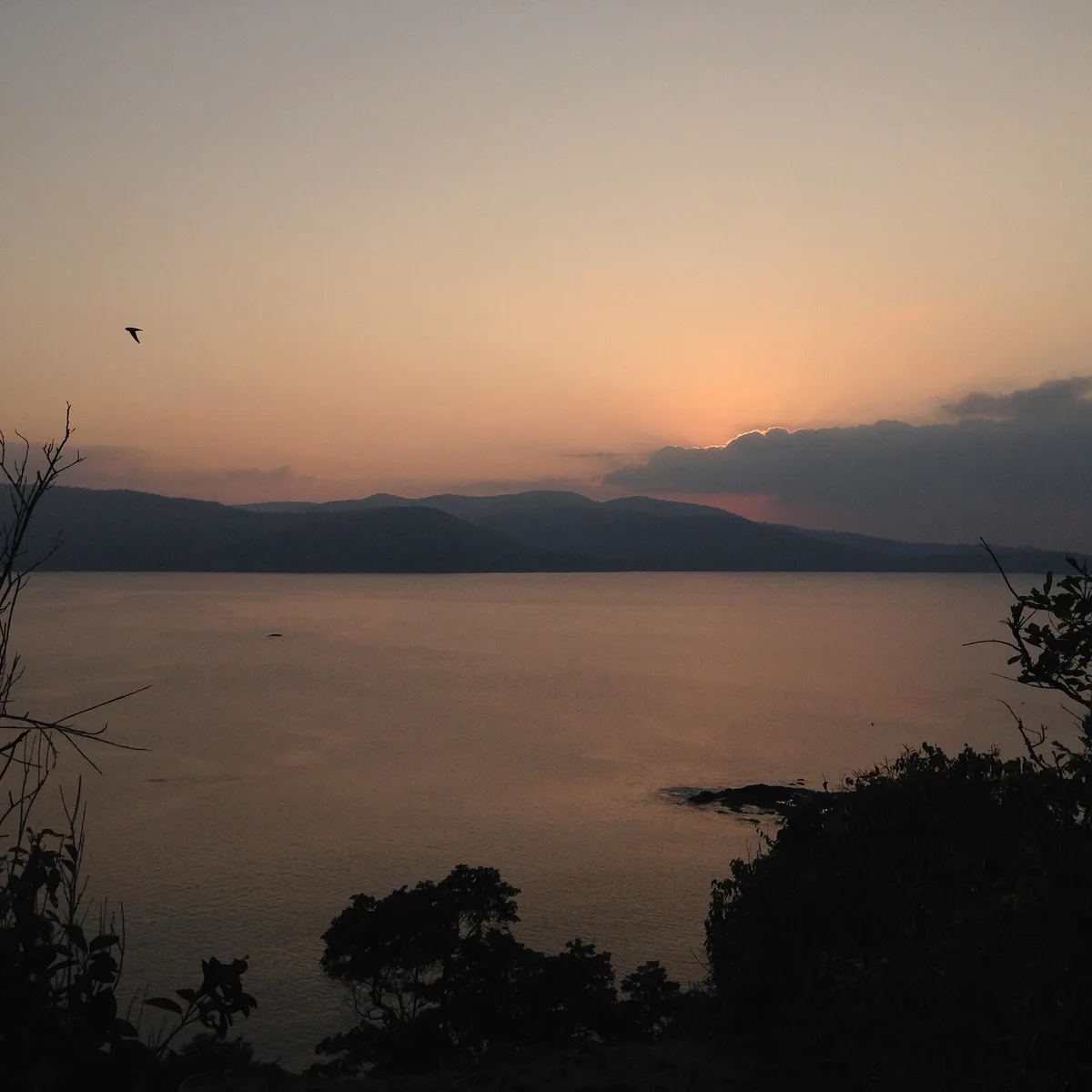 Chidiya Tapu-Strand, Port Blair, Andaman and Nicobar Islands, Indien — 5