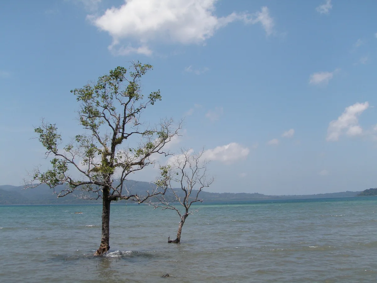 Chidiya Tapu-Strand, Port Blair, Andaman and Nicobar Islands, Indien — 4