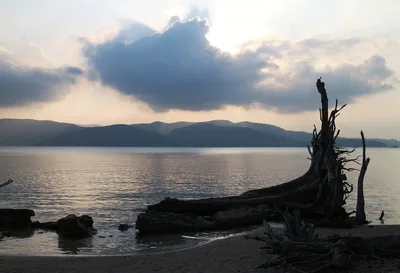 Chidiya Tapu Beach