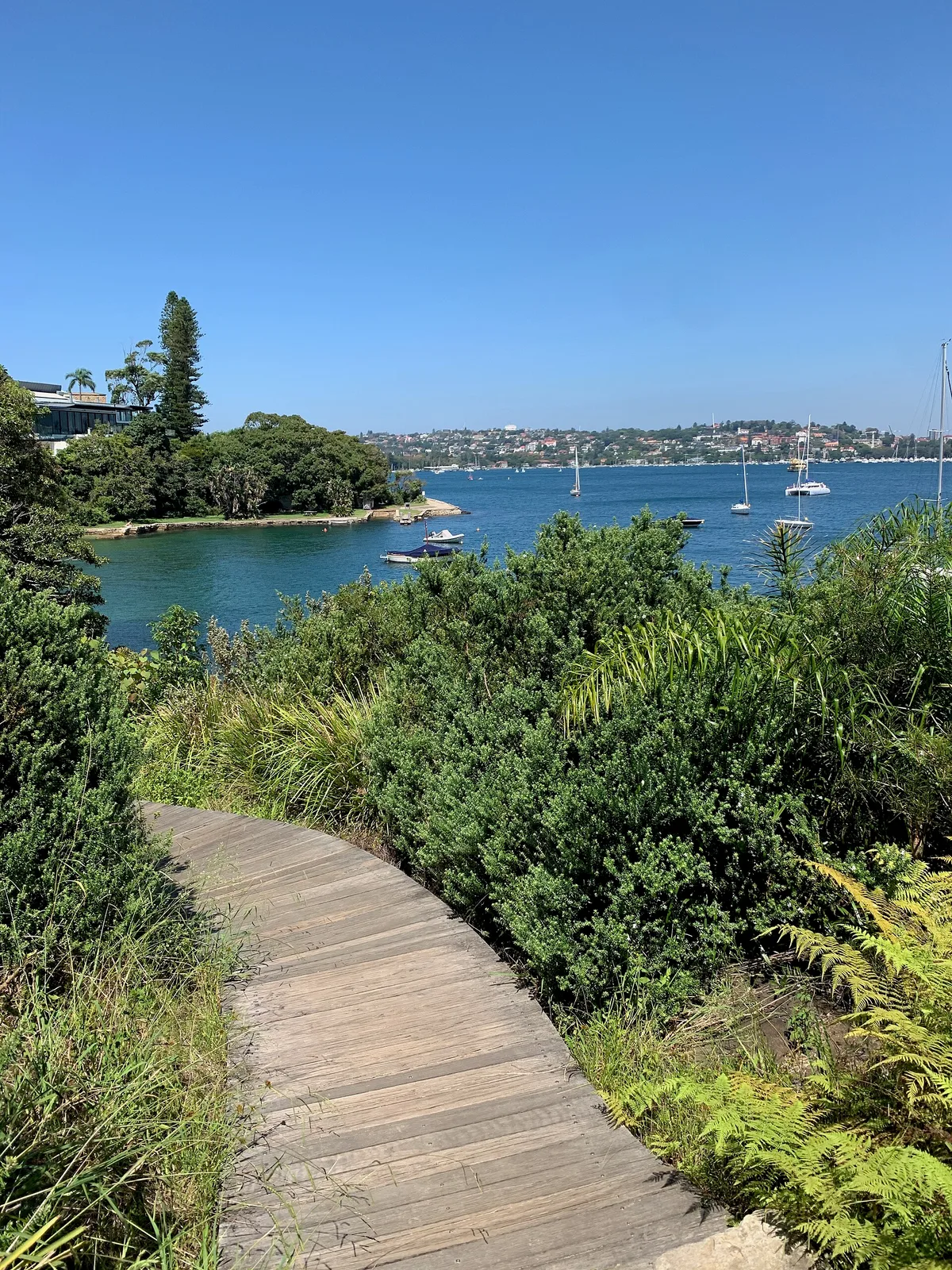 Milk Beach, Woollahra Council, New South Wales, Australia — 2