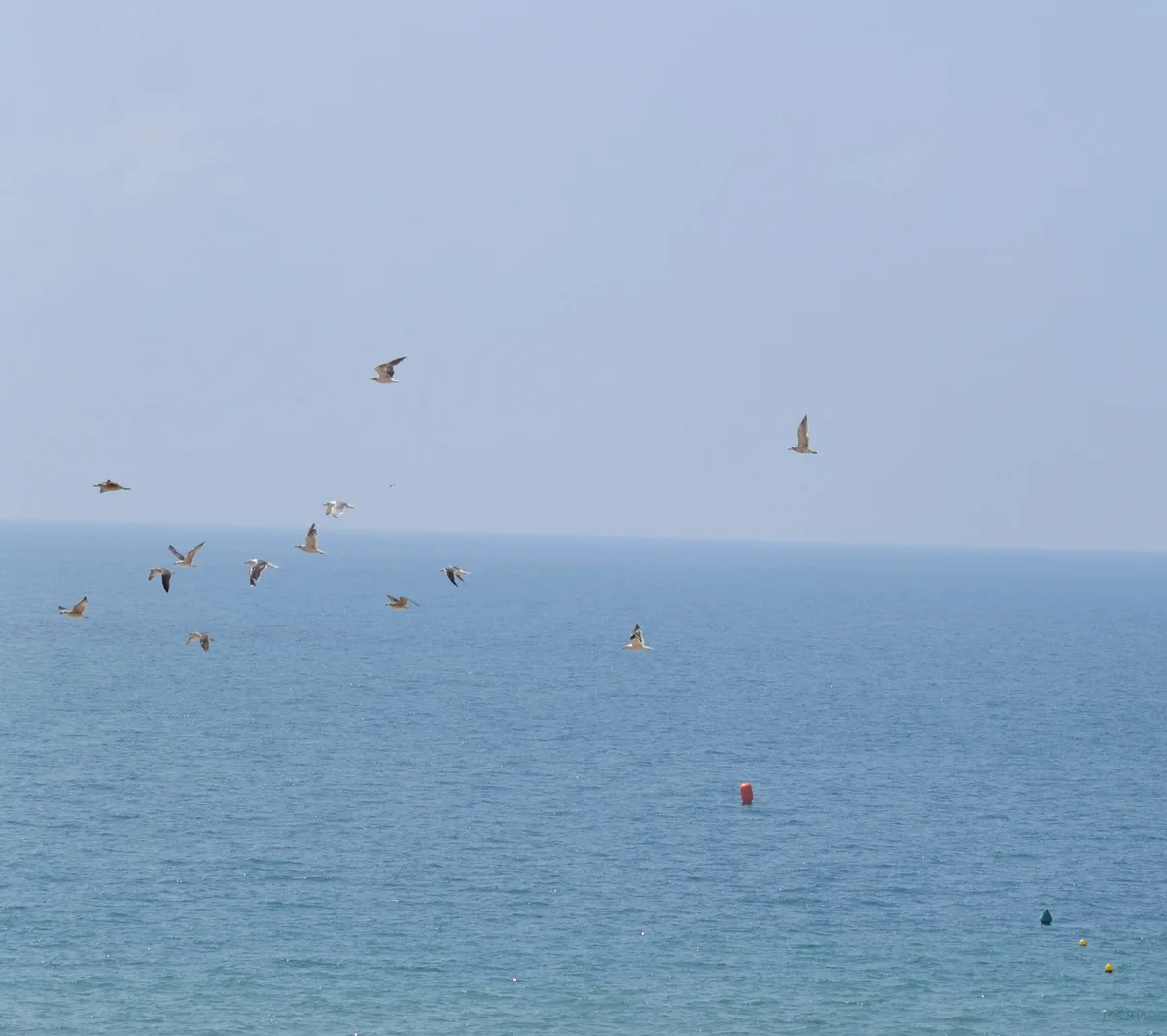 Cortadura Beach, Cádiz, Andalusia, Spain — 5