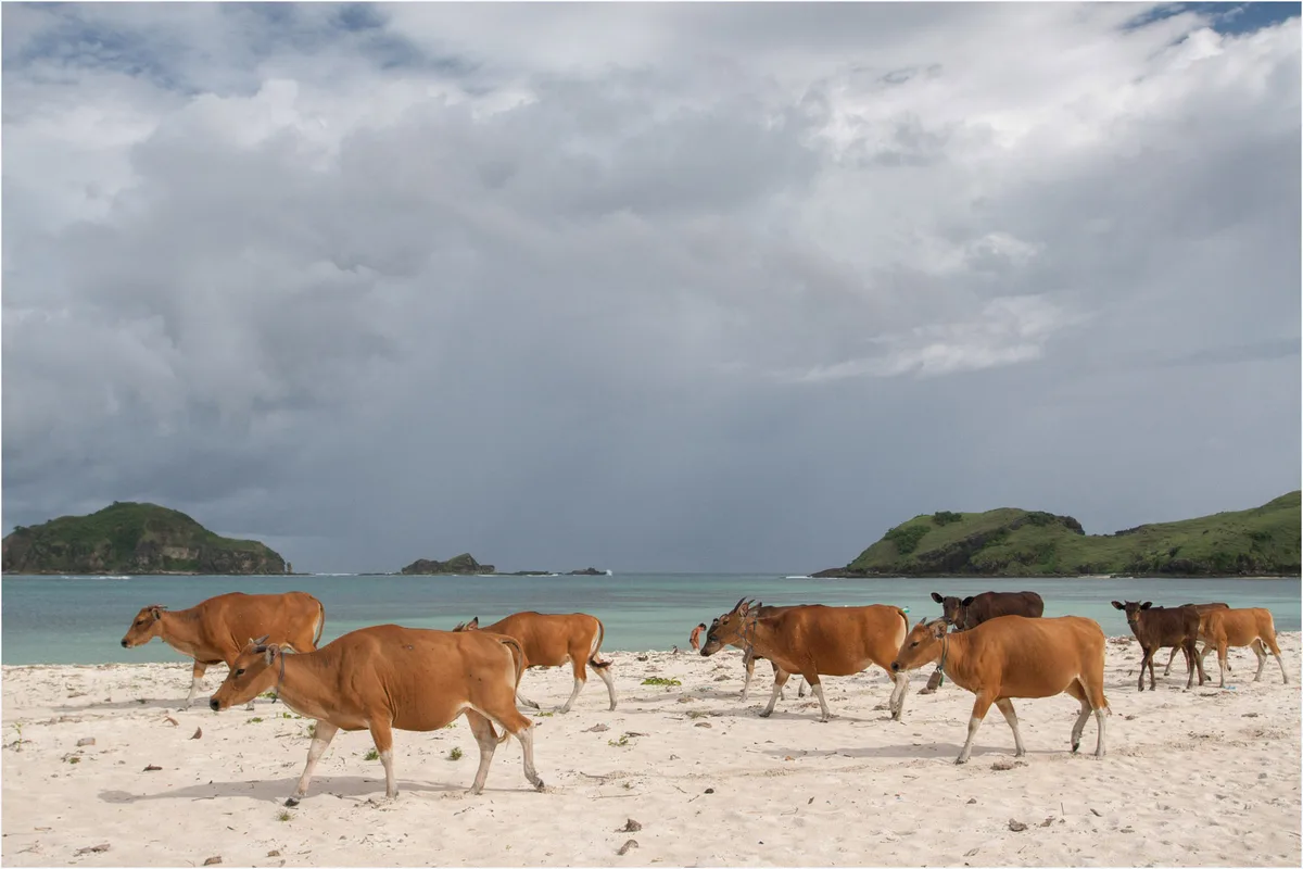 Tanjung Aan Beach, Pujut, Lesser Sunda Islands, Indonesia
