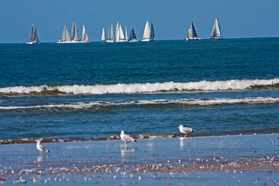 Deauville Beach