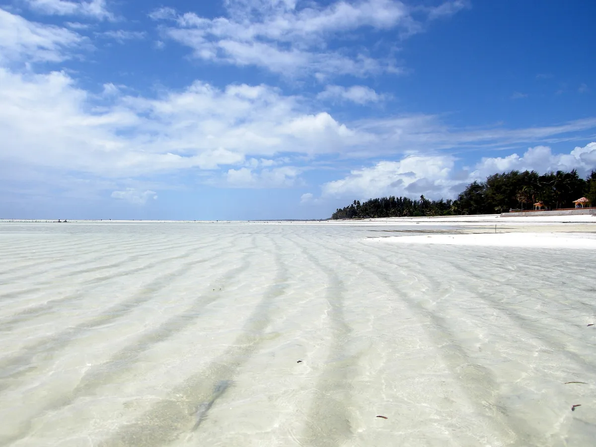 Jambiani Beach, Jambiani, East African Coast, Tanzania — 4