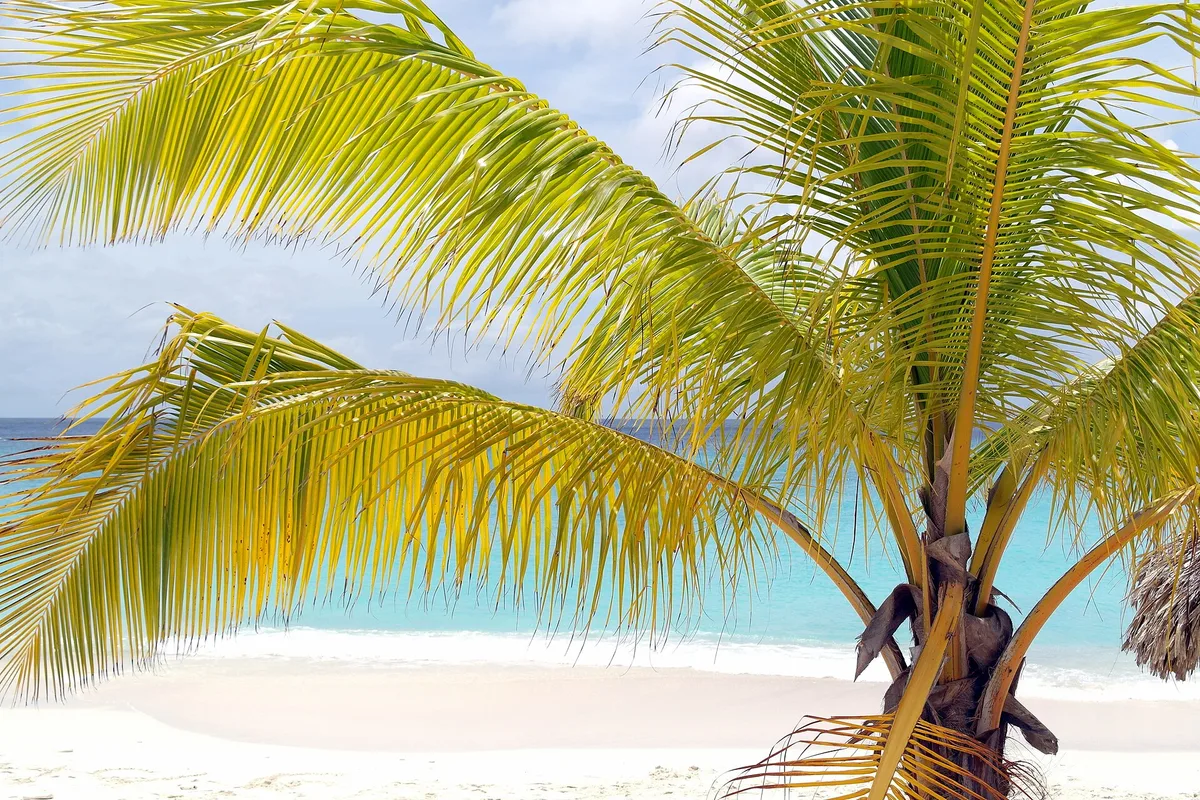 Praia de Grote Knip, Banda Abou, Lesser Antilles, Curaçao — 6