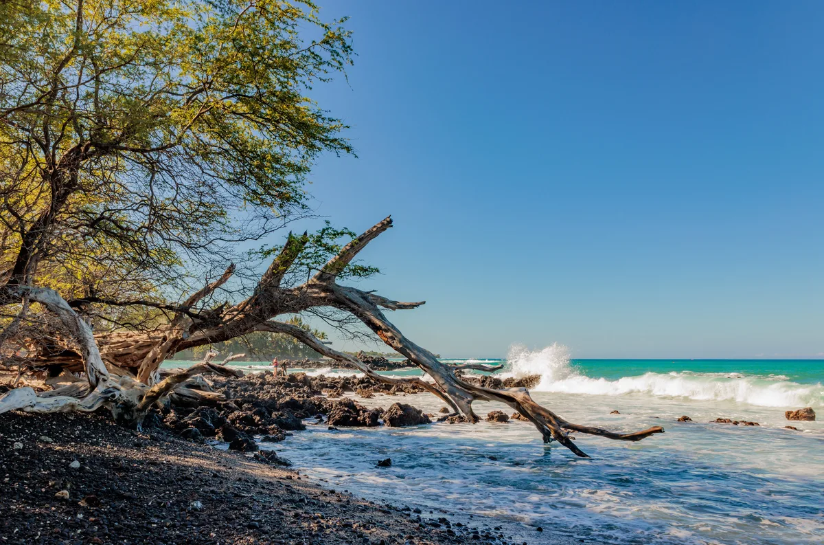 Waialea Beach, South Kohala, Hawaii, United States — 5
