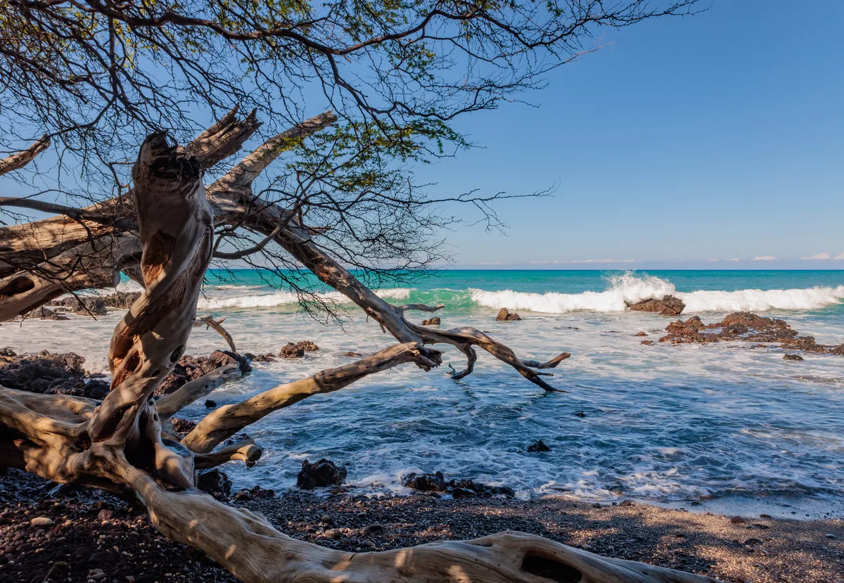Waialea Beach, South Kohala, Hawaii, United States — 4