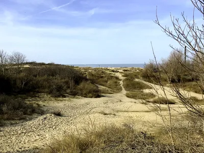 Duinbergen Beach, Knokke-Heist, North Sea Coast, Belgium — 4