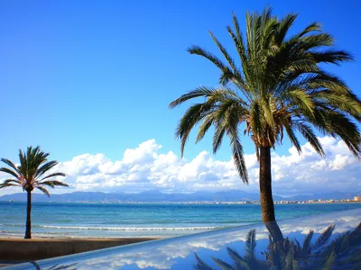 S'Arenal Beach