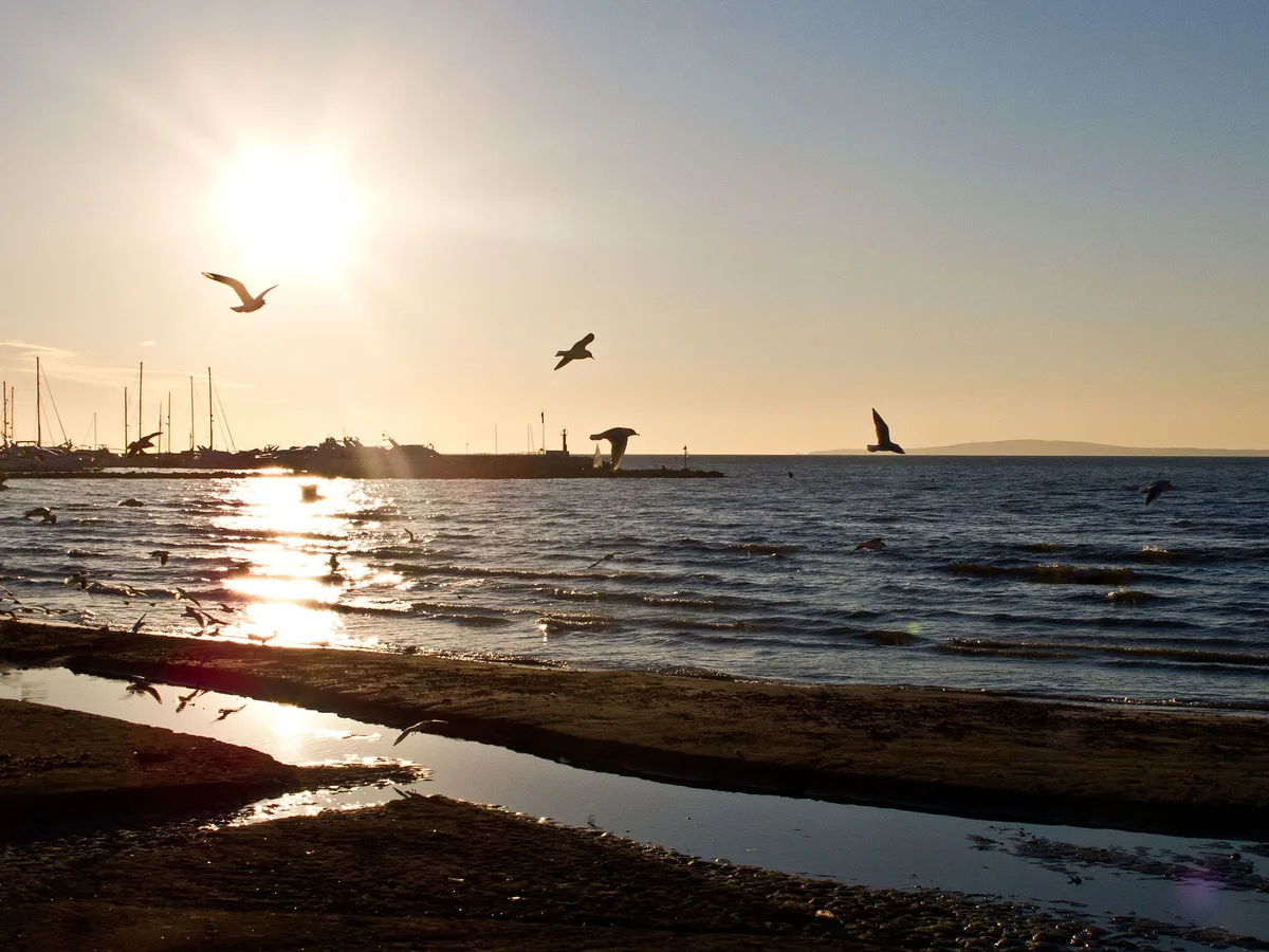 S'Arenal-Strand, Llucmajor, Balearic Islands, Spanien — 4