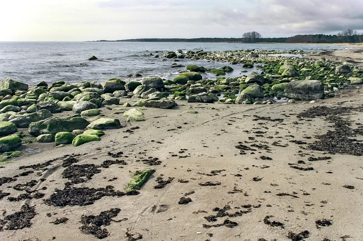 Holmhällar-Strand, Region Gotland, Baltic Sea, Schweden — 4